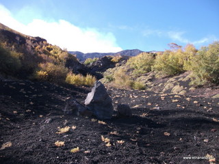llone monte Zappinazzo-04-11-2012 09-56-05